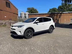 Weiß Gebraucht 2018 Toyota RAV4 SUV | 14.900 € (Etwas zu teuer)
