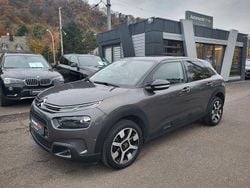 Grau Gebraucht 2020 Citroën C4 Cactus Kleinwagen | 8.899 € (Superpreis)