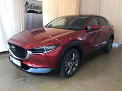 Rot Gebraucht 2024 Mazda CX-30 Exclusive-Line SUV | 27.900 € (Fairer Preis)