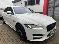 Weiß Gebraucht 2017 Jaguar XF R-Sport Limousine | 15.995 € (Teuer)