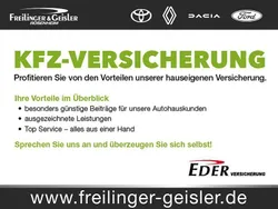 Grün flechtengrau (metallic) Gebraucht 2023 Dacia Spring Extreme Kleinwagen | 15.990 € (Etwas zu teuer)