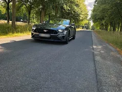 Grau Gebraucht 2020 Ford Mustang GT Cabrio | 39.000 € (Guter Preis)