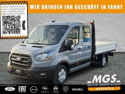 Grey matter Neu 2025 Ford Transit Trend Limousine | 48.076 € (Etwas zu teuer)