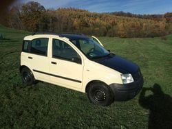 Gelb Gebraucht 2009 Fiat Panda Kleinwagen | 550 € (Superpreis)