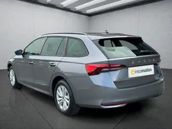 Grau Neu 2025 Skoda Octavia Kombi | 31.699 € (Superpreis)