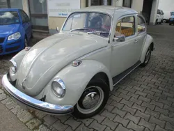 Grau Gebraucht 1969 VW Käfer Kleinwagen | 19.990 €