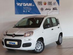 Gelato weiß Neu 2025 Fiat Panda Urban Kleinwagen | 15.440 € (Fairer Preis)