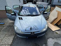 Blau Gebraucht 2003 Peugeot 206 Filou Kombi | 1.600 € (Fairer Preis)