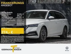 Weiß Gebraucht 2023 Skoda Octavia Ambition Kombi | 25.980 € (Guter Preis)