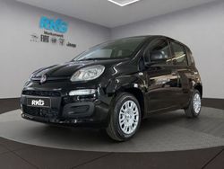 Schwarz Gebraucht 2025 Fiat Panda Kleinwagen | 14.990 € (Fairer Preis)