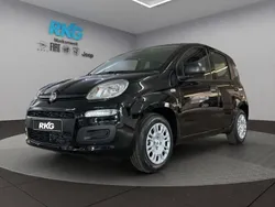 Schwarz Neu 2025 Fiat Panda Kleinwagen | 16.390 €