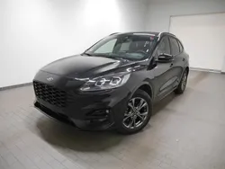 Obsidianschwarz Gebraucht 2024 Ford Kuga ST-Line X SUV | 27.980 € (Guter Preis)