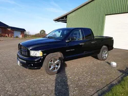 Schwarz Gebraucht 2005 Dodge Ram Abholung | 16.900 € (Teuer)