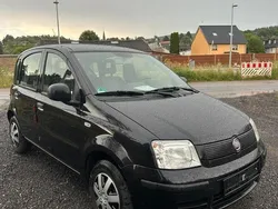 Schwarz Gebraucht 2012 Fiat Panda Kleinwagen | 2.599 €