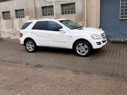 Weiß Gebraucht 2011 Mercedes ML350 SUV | 15.500 € (Fairer Preis)