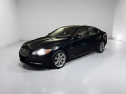 Schwarz Gebraucht 2010 Jaguar XF Luxury Limousine | 7.800 € (Fairer Preis)