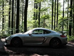 Silber Gebraucht 2016 Porsche Cayman GT4 Coupé | 98.981 € (Teuer)