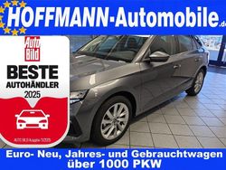 Grau Neu 2025 Skoda Scala Tour Kleinwagen | 27.350 € (Fairer Preis)