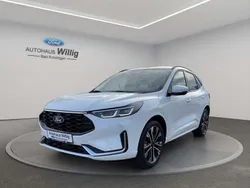 Frostweiß Gebraucht 2024 Ford Kuga ST-Line X SUV | 55.990 €
