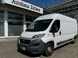 Weiß Gebraucht 2017 Fiat Ducato Van | 9.999 € (Fairer Preis)