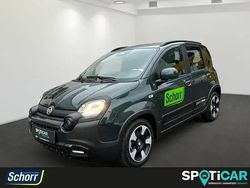 Foresta grün/schwarzes dach Gebraucht 2025 Fiat Panda Cross Kleinwagen | 18.450 € (Teuer)