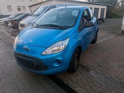 Blau Gebraucht 2009 Ford Ka Kleinwagen | 1.340 € (Fairer Preis)