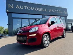 Rot Gebraucht 2014 Fiat Panda Easy Kleinwagen | 5.999 €