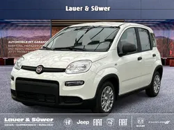 Weiß Neu 2025 Fiat Panda Kleinwagen | 15.790 €