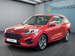 Rot Neu 2024 Ford Kuga SUV | 28.499 € (Superpreis)
