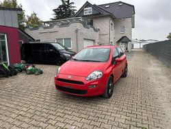 Colore esterno (rosso passiona Gebraucht 2014 Fiat Punto Pop Kleinwagen | 4.350 € (Fairer Preis)