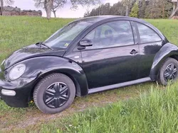 VW Beetle