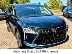 Grün Neu 2025 DFSK Forthing 4 Van / Kleinbus | 30.690 € (Fairer Preis)