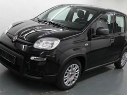 Schwarz Gebraucht 2023 Fiat Panda Limousine | 13.489 € (Etwas zu teuer)