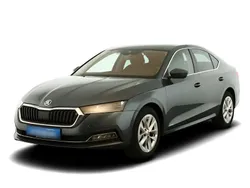 Grau Gebraucht 2020 Skoda Octavia First Edition Limousine | 23.949 € (Superpreis)