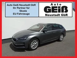 Grau Neu 2025 Skoda Octavia Selection Limousine | 32.990 € (Fairer Preis)