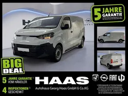 Gelato weiß Gebraucht 2024 Fiat Scudo Van / Kleinbus | 23.480 € (Superpreis)