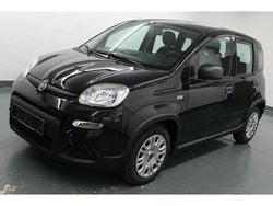Gebraucht 2023 Fiat Panda Kleinwagen | 13.489 € (Fairer Preis)
