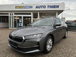 Grau Gebraucht 2025 Skoda Octavia Selection Kombi | 31.950 € (Fairer Preis)