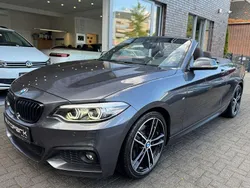 Mineralgrau (metallic) Gebraucht 2020 BMW 220 M Sport Cabrio | 26.900 € (Guter Preis)