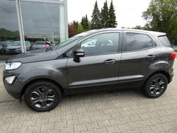 Grau Gebraucht 2019 Ford Ecosport Trend SUV | 9.999 € (Superpreis)