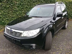 Obsidian black (p) Gebraucht 2010 Subaru Forester SUV | 16.500 €