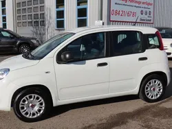Weiß Gebraucht 2020 Fiat Panda Easy Kleinwagen | 11.450 € (Etwas zu teuer)