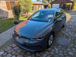Grau Gebraucht 2020 VW Golf VII Life Limousine | 19.999 € (Etwas zu teuer)