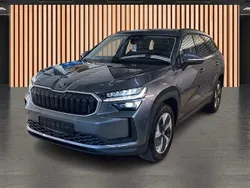 Grau graphitegrau metallic Gebraucht 2025 Skoda Kodiaq Selection SUV | 40.390 € (Fairer Preis)