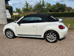 Weiß Gebraucht 2014 VW Beetle Exclusive Cabrio | 18.800 € (Etwas zu teuer)
