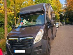 Braun Gebraucht 2019 Opel Movano Van | 14.500 €