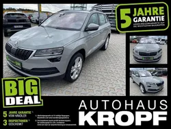 Beige Gebraucht 2021 Skoda Karoq Style SUV | 25.780 € (Guter Preis)
