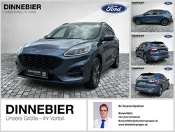 Blau (metallic) Gebraucht 2024 Ford Kuga ST-Line X SUV | 36.295 € (Fairer Preis)
