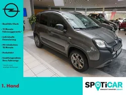 Grau Gebraucht 2020 Fiat Panda Kleinwagen | 14.990 €