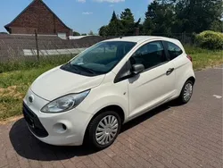 Weiß Gebraucht 2010 Ford Ka Trend Kleinwagen | 2.800 € (Fairer Preis)